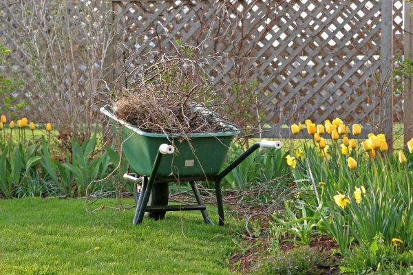 Flower Bed Cleanup Service in Traverse City