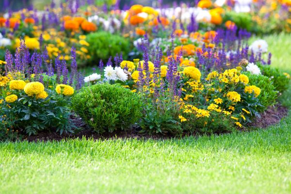 Flower Bed Maintenance in Traverse City