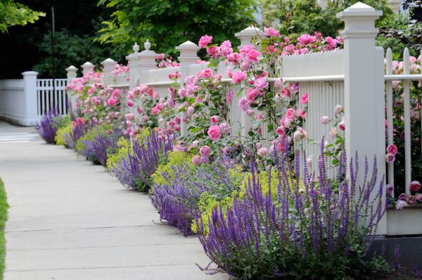 Garden Handyman Service in Traverse City
