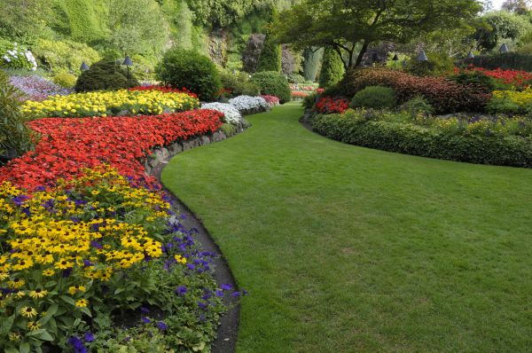 Landscaping Maintenance in Traverse City
