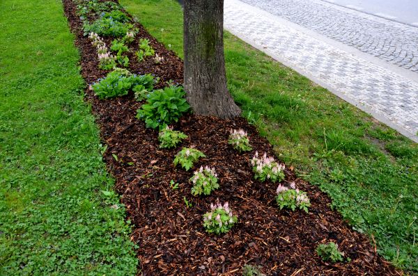 Mulch Replacement Service in Traverse City