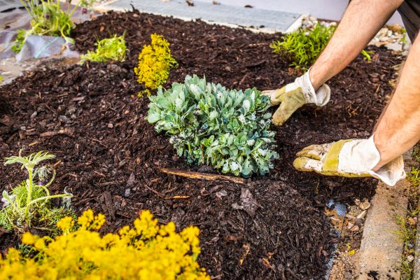 Weeding And Mulching in Traverse City