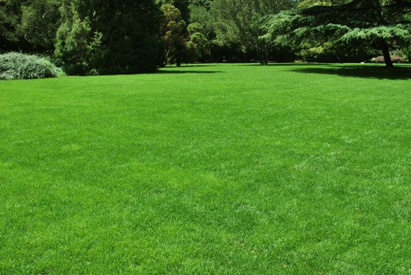 Lawn Landscaping in Traverse City