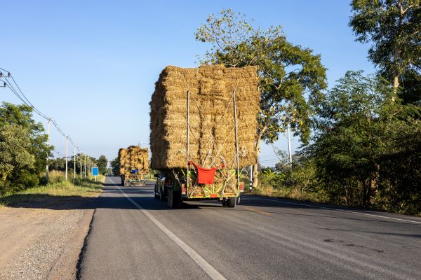 Pine Straw Delivery in Traverse City