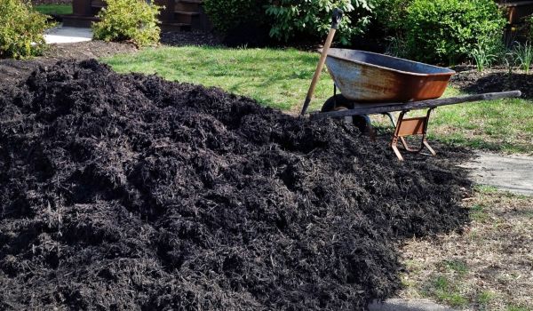 Black Mulch Delivery in Traverse City