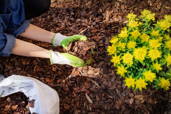 Garden Mulching in Traverse City