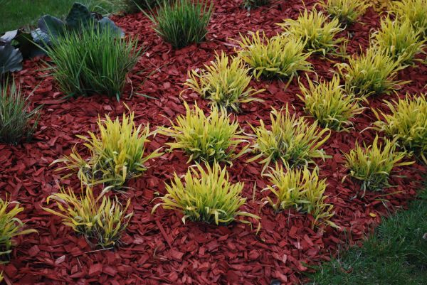 Mulch Landscaping in Traverse City