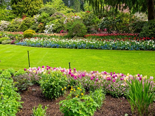 Residential Landscape Design in Traverse City