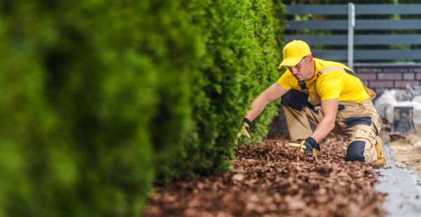 Cypress Mulch Installation in Traverse City