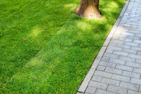 Border Stone Installation in Traverse City
