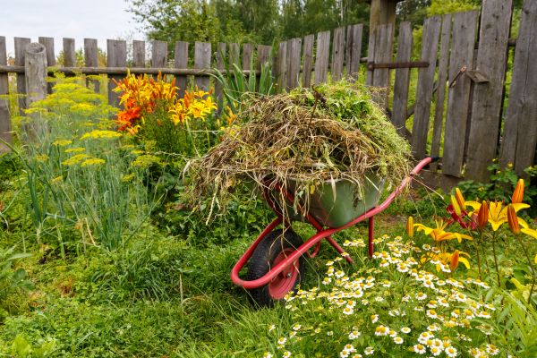 Garden Cleanup Service in Traverse City