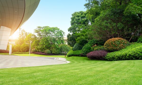 Business Landscape Design in Traverse City