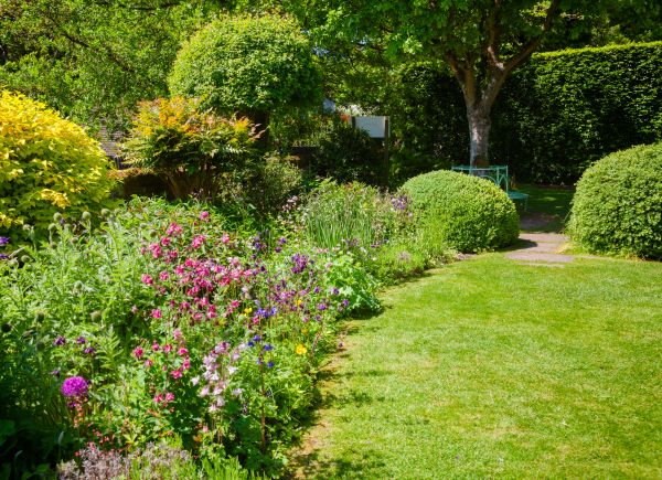 Yard Landscaping Service in Traverse City