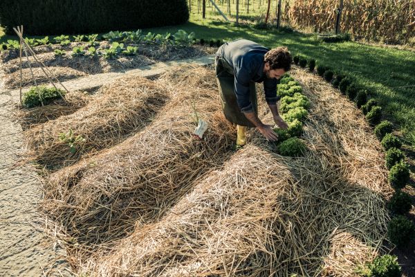 Straw Mulching Service in Traverse City