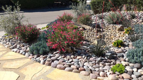 Xeriscape Landscaping in Traverse City