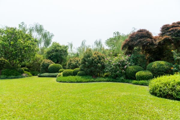 Tree Landscaping in Traverse City