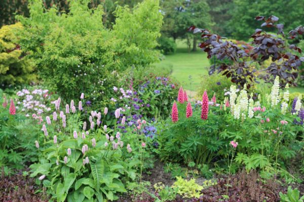 Flower Bed Planting in Traverse City