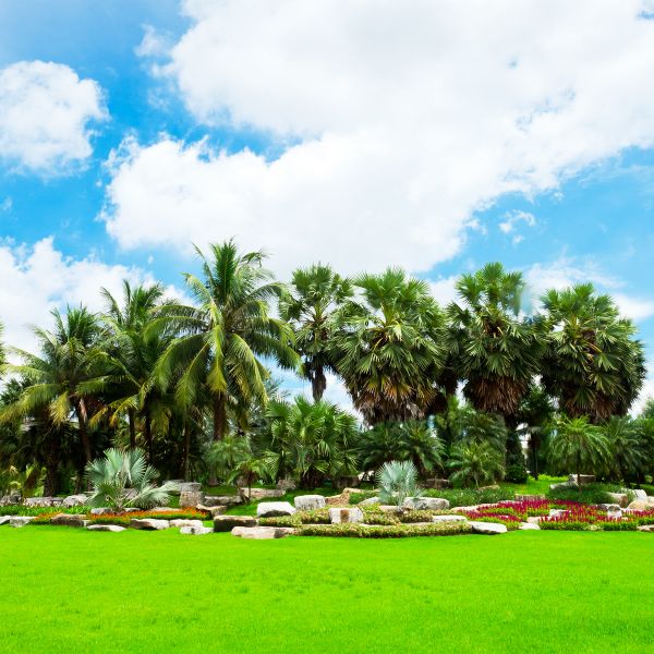 Tropical Landscaping in Traverse City