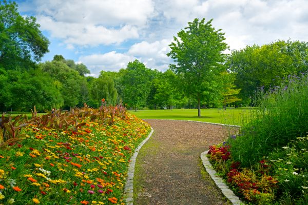 Park Landscaping in Traverse City