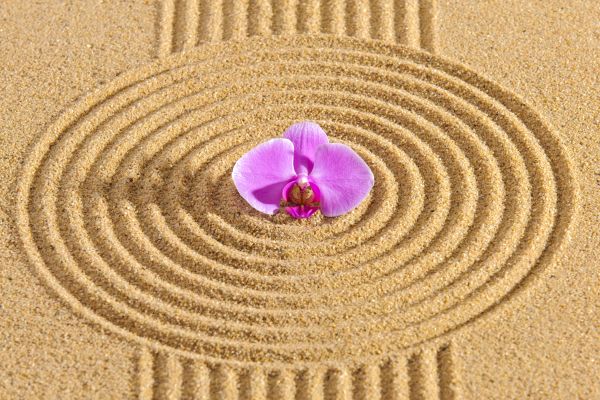 Sand Garden Landscaping in Traverse City