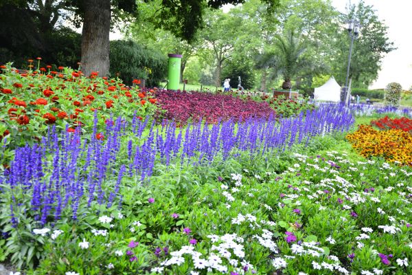 Perennials Planting in Traverse City