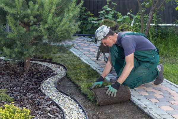 Landscaping Modification in Traverse City