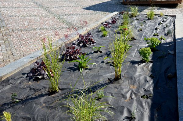 Landscape Fabric Installation in Traverse City