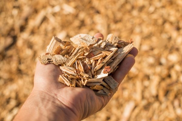Wood Chips Spreading in Traverse City