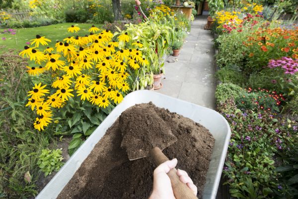 Topsoil Replacement in Traverse City