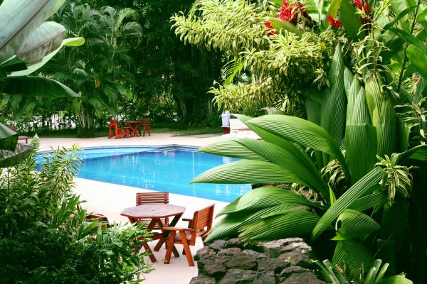 Pool Area Landscaping in Traverse City
