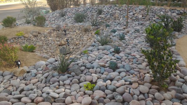 Yard Xeriscaping in Traverse City