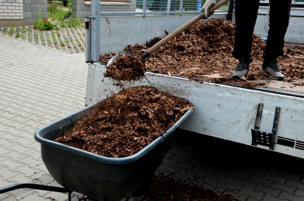 Cedar Mulch Delivery in Traverse City
