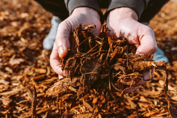 Bark Chips Delivery in Traverse City