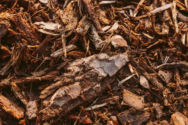 Bark Mulch Delivery in Traverse City