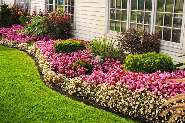 House Landscaping in Traverse City
