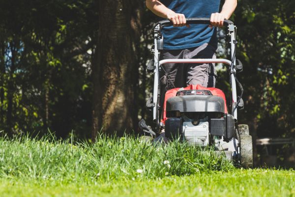 Garden Trimming Service in Traverse City
