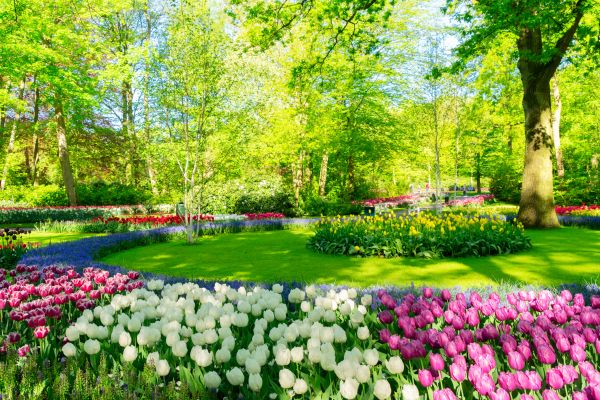 Flower Landscaping in Traverse City