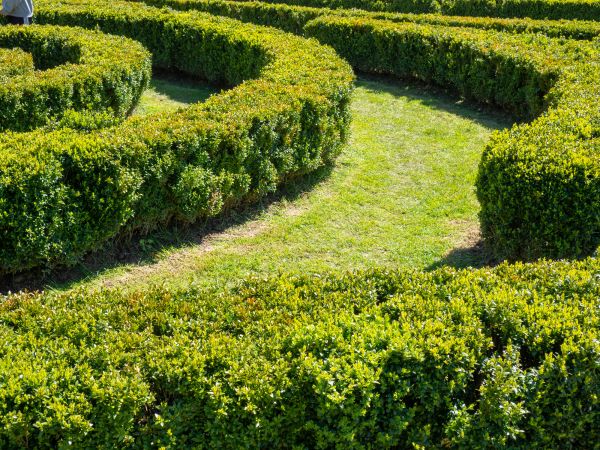 Bush Landscaping in Traverse City