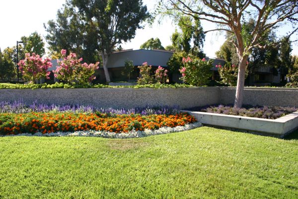 Commercial Landscape Service in Traverse City