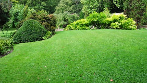 Commercial Landscape Design in Traverse City