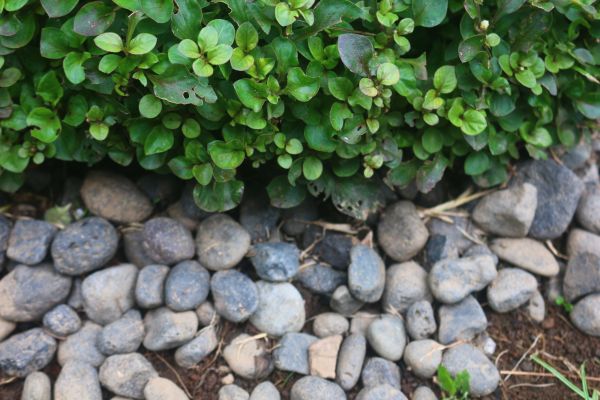 River Stone Installation in Traverse City