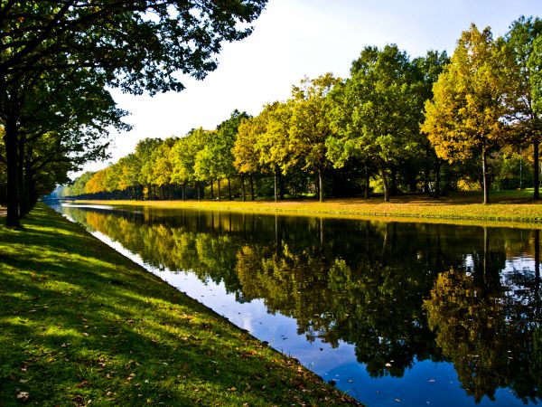 Bank Landscaping in Traverse City