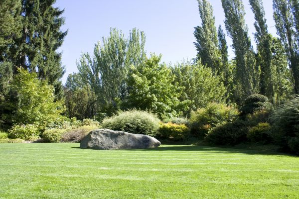 Yard Enlargement in Traverse City