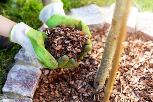 Tree Bark Delivery in Traverse City