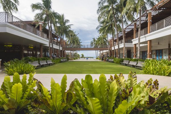 Commercial Lawn Renovation in Traverse City