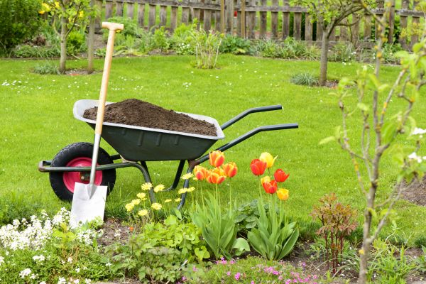 Spring Yard Renovation in Traverse City