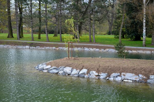 Pond Landscaping Service in Traverse City