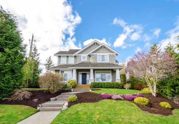 Landscaping Replacement in Traverse City