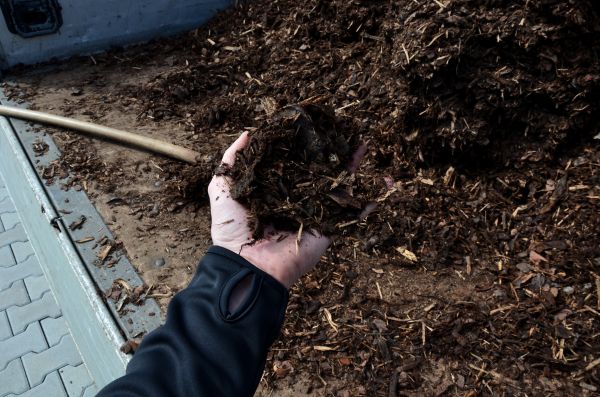 Condo Mulching in Traverse City