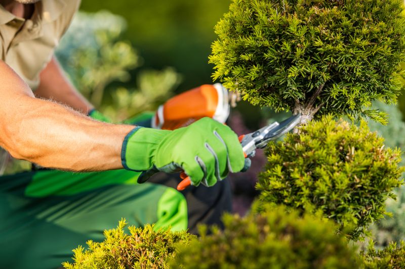 Garden Repair Service